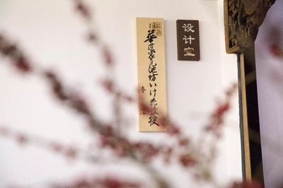 一日僅售五盒！這家空間的高品質(zhì)茶果子，顏值高到讓人舍不得入口